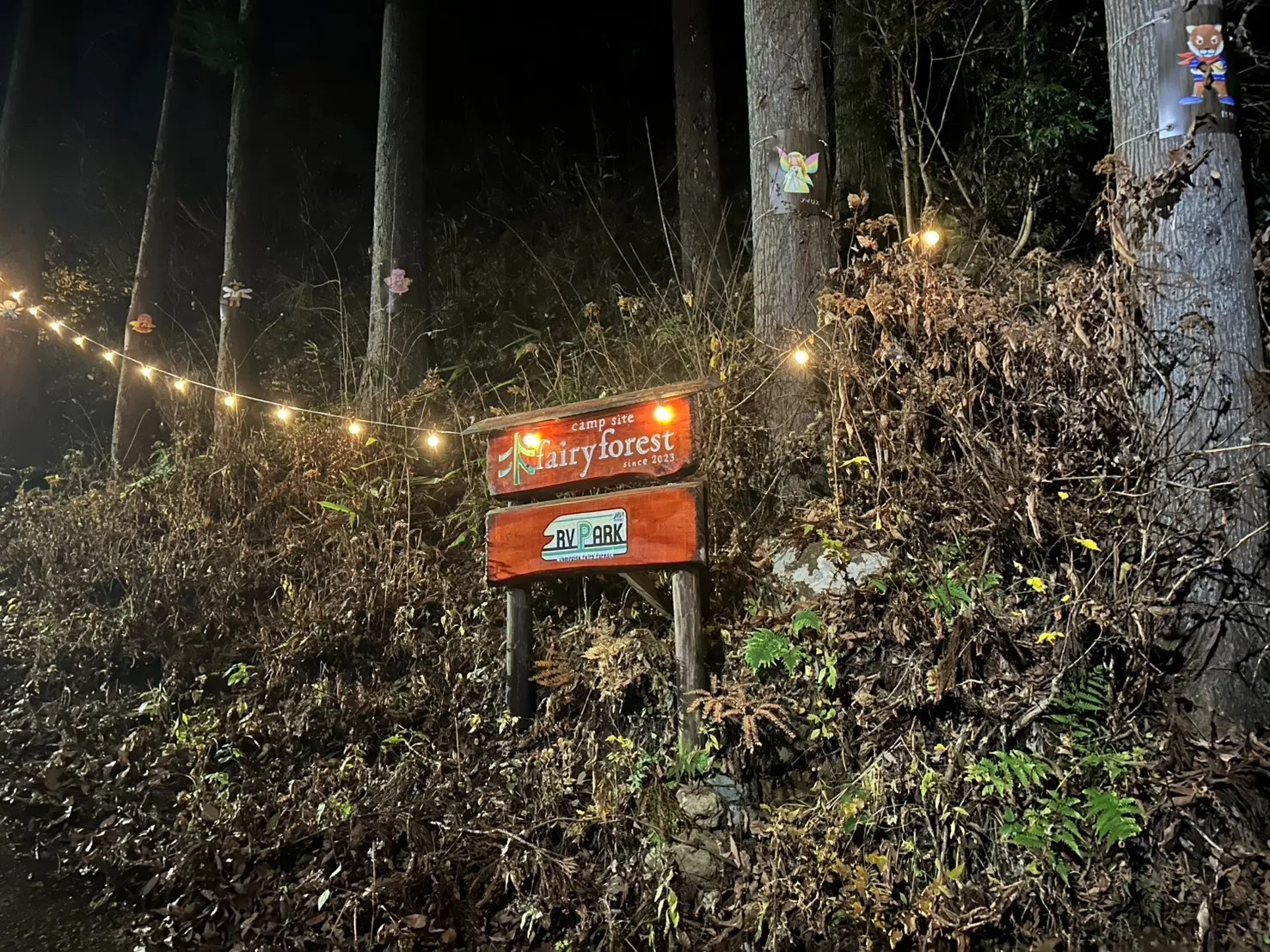 キャンプ場で満喫する春の自然と朝晩の寒暖差対策ガイド