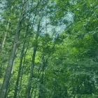 当キャンプ場の特徴